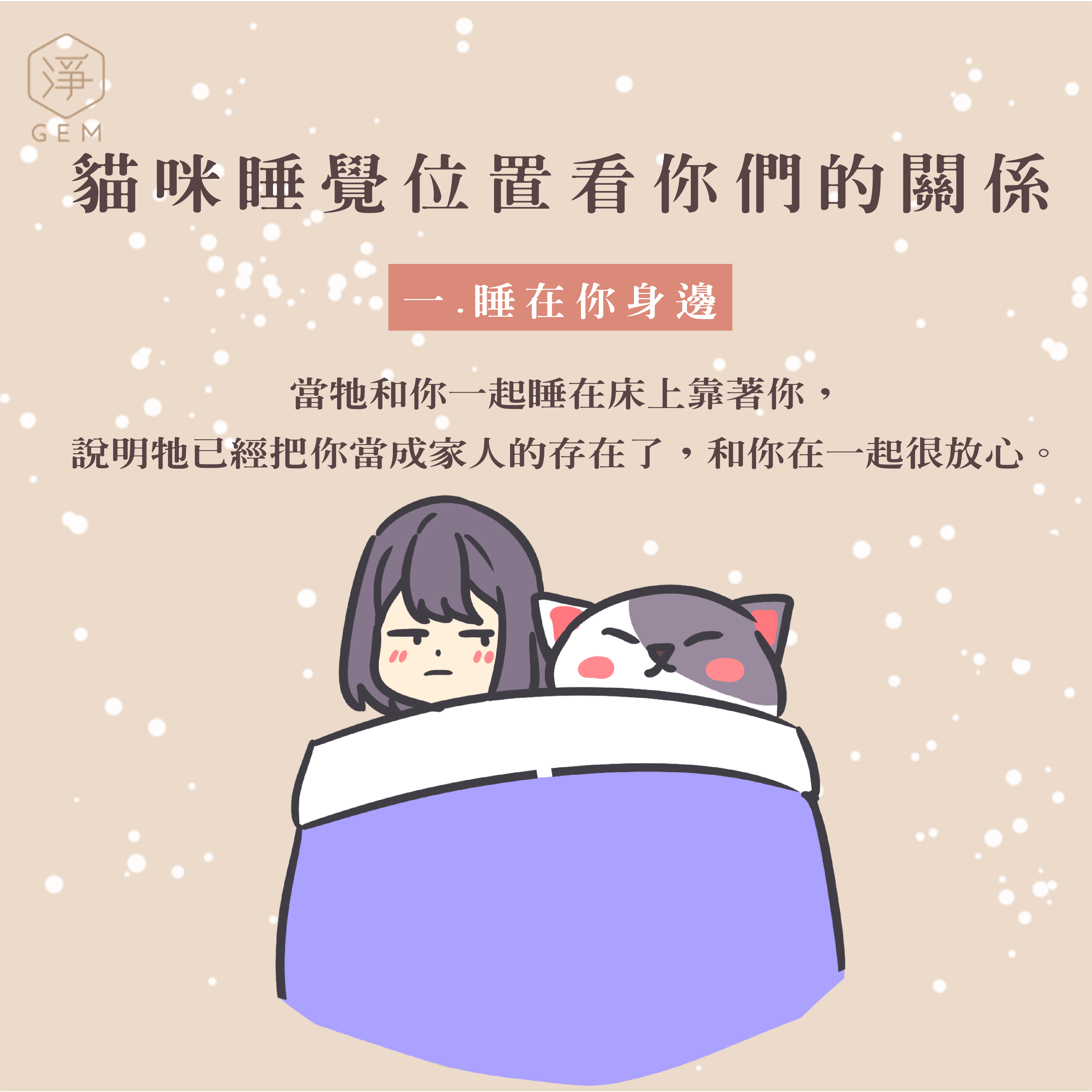 貓咪睡覺位置看你們的關係- 淨寵物商品有限公司